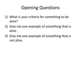 Opening Questions