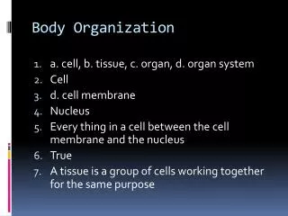 Body Organization