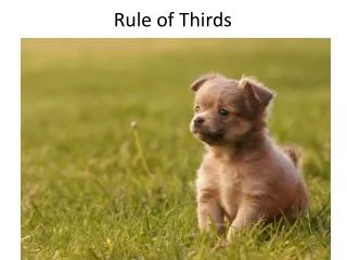 Rule of Thirds