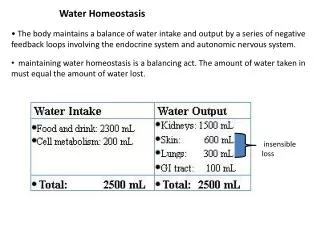 Water Homeostasis