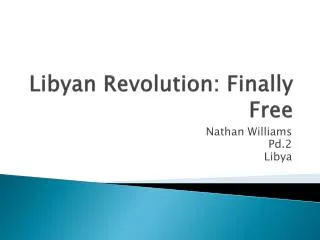 Libyan Revolution: Finally Free
