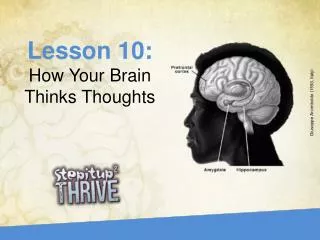 Lesson 10: How Your Brain Thinks Thoughts