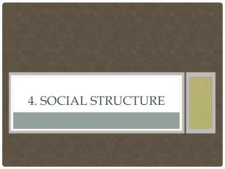 4. Social Structure