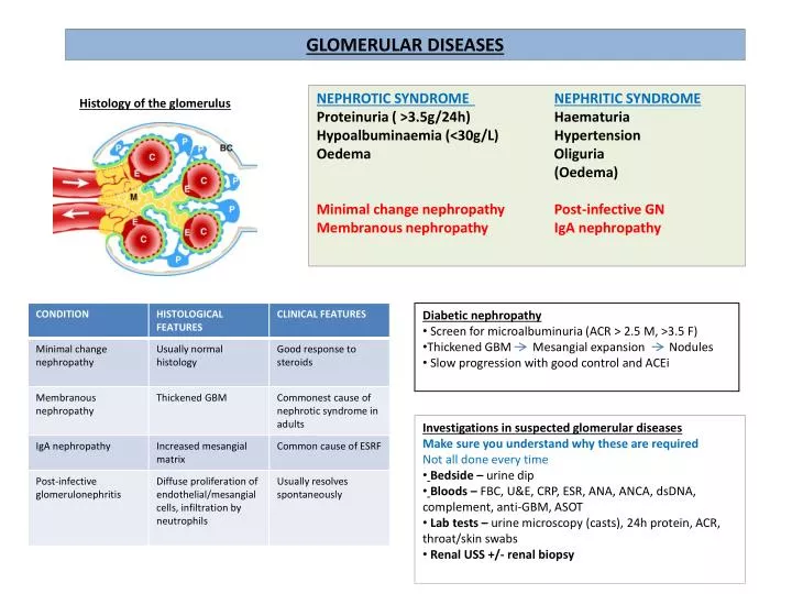 glomerular diseases