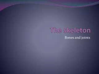 The skeleton