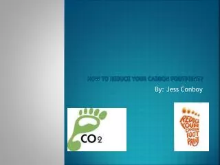 How to reduce your carbon footprint?