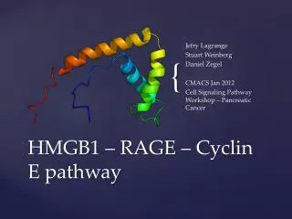 HMGB1 – RAGE – Cyclin E pathway