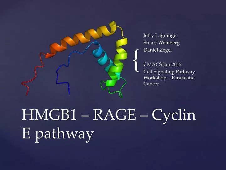 hmgb1 rage cyclin e pathway