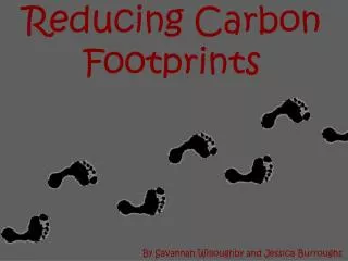 Reducing Carbon Footprints