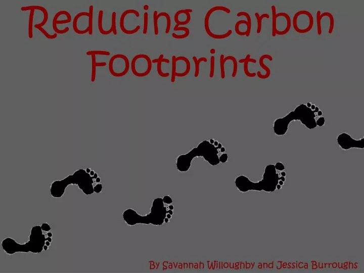 reducing carbon footprints