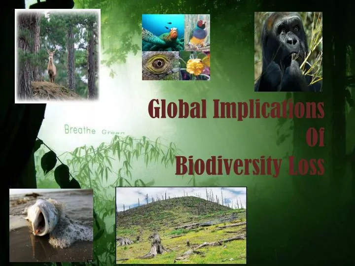 global implications of biodiversity loss