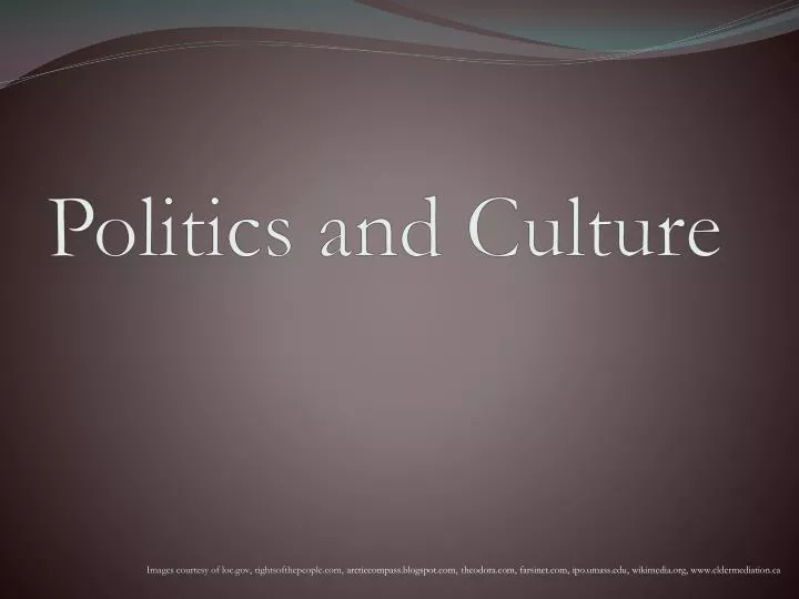 politics and culture