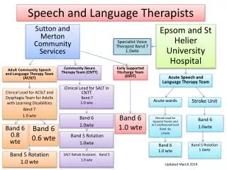 Speech and Language Therapists