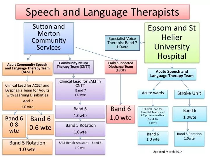 speech and language therapists