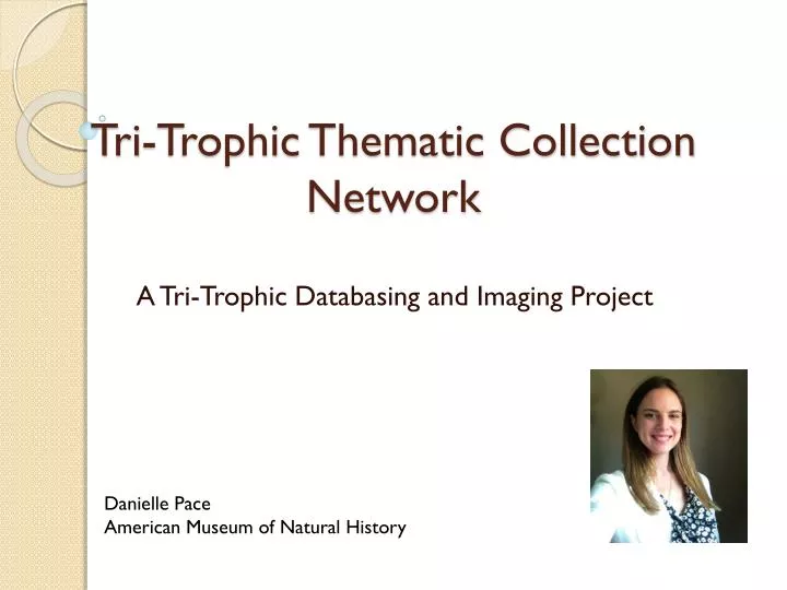 tri trophic thematic collection network