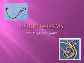 Roundworms