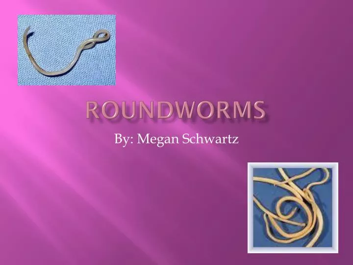 roundworms