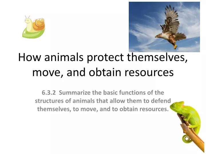 how animals protect themselves move and obtain resources