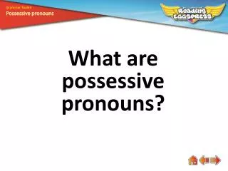 What are p ossessive pronouns?