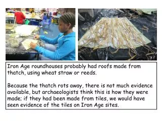 Iron Age roundhouses probably had roofs made from thatch, using wheat straw or reeds.
