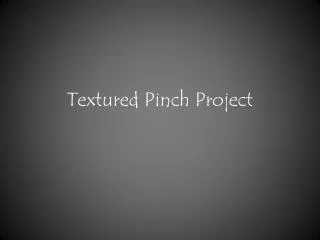 Textured Pinch Project