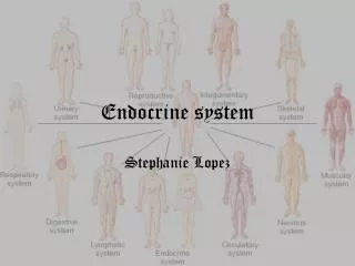 Endocrine system