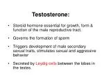 Testosterone: - slide 1