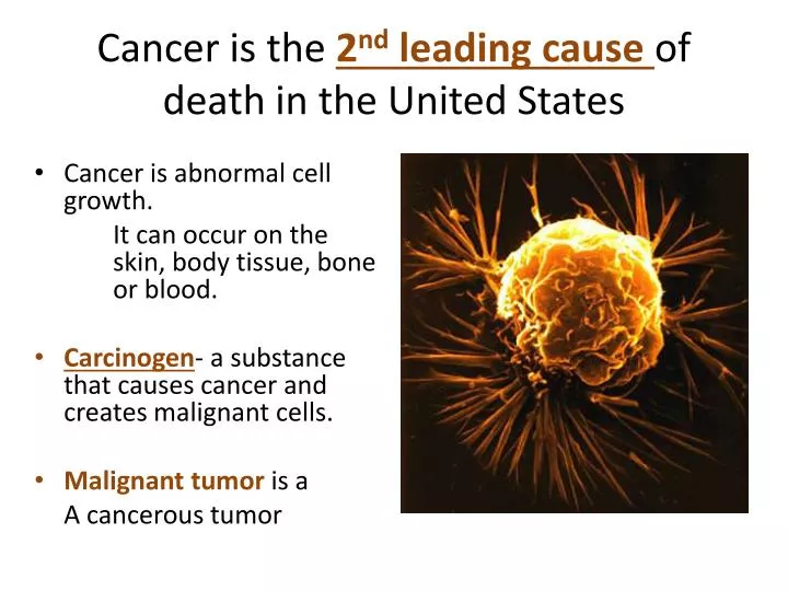 cancer is the 2 nd leading cause of death in the united states