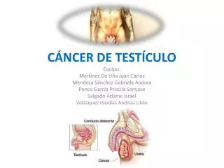 c ncer de test culo