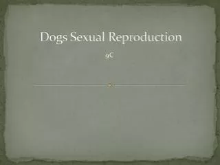 Dogs Sexual Reproduction