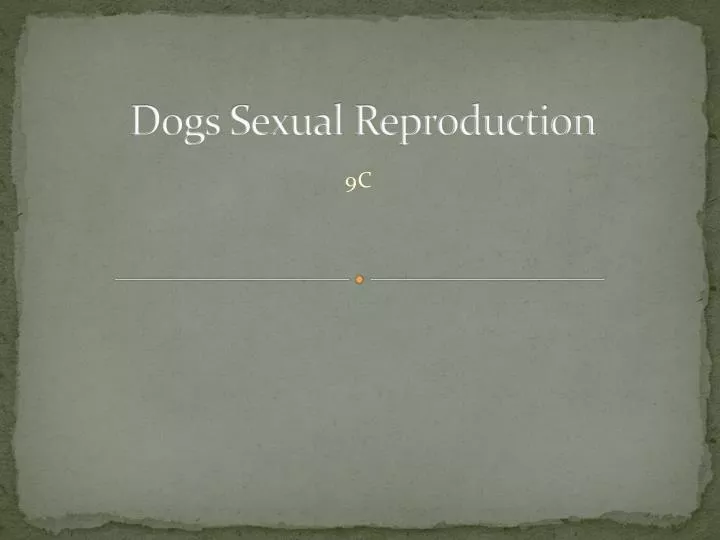 dogs sexual reproduction