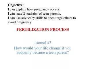 FERTILIZATION PROCESS Journal #3 How would your life change if you suddenly became a teen parent?