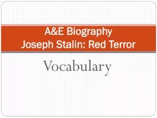 A&amp;E Biography Joseph Stalin: Red Terror
