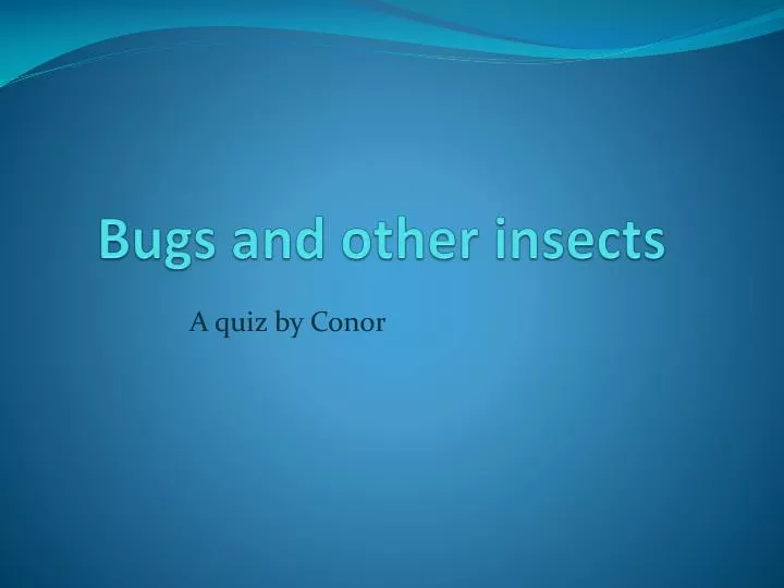 bugs and other insects