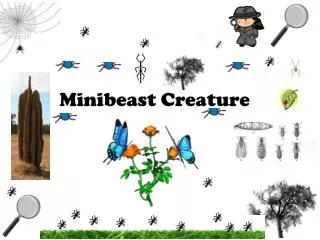 Minibeast Creature