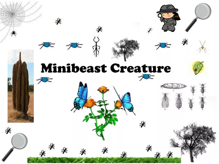 minibeast creature