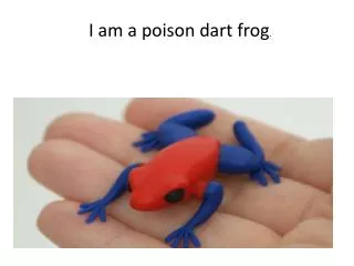 I am a poion dart frog.?