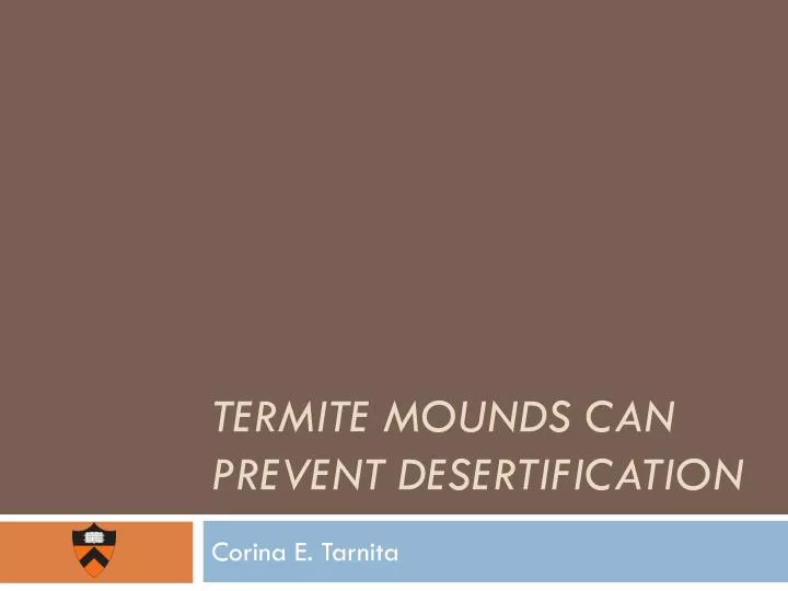 termite mounds can prevent desertification