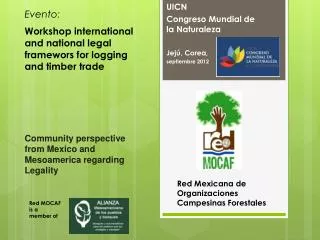 Community perspective from Mexico and Mesoamerica regarding Legality