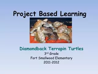 Project Based Learning