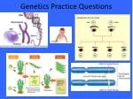 Genetics Practice Questions