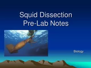 Squid Dissection Pre-Lab Notes