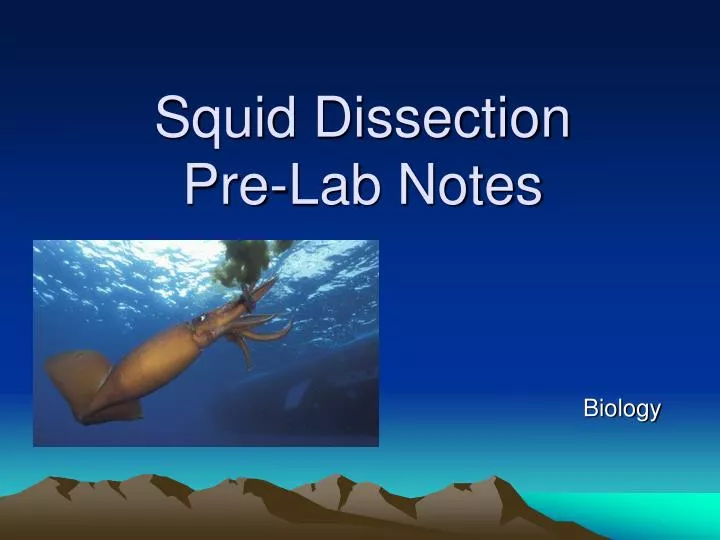 squid dissection pre lab notes