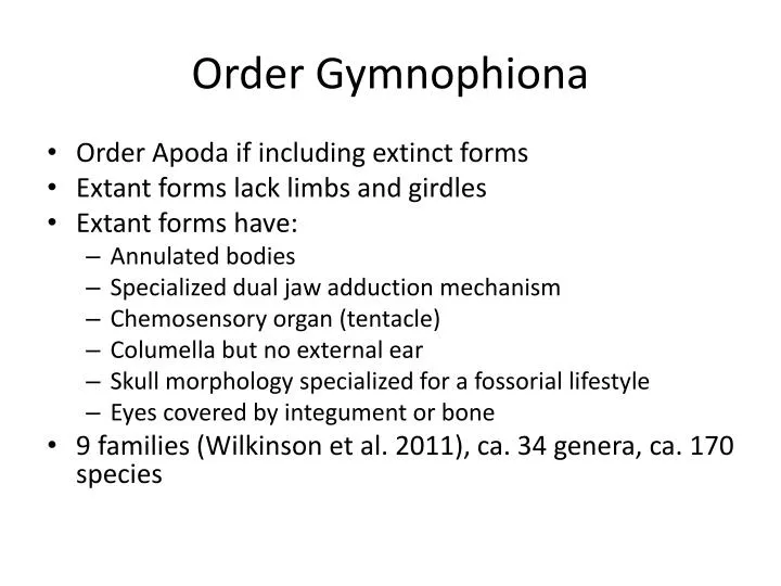 order gymnophiona