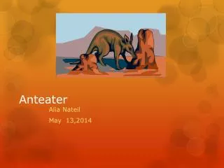 Anteater