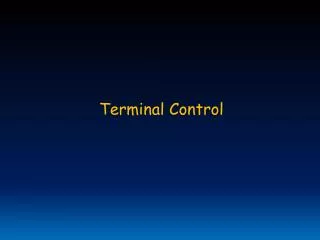 Terminal Control