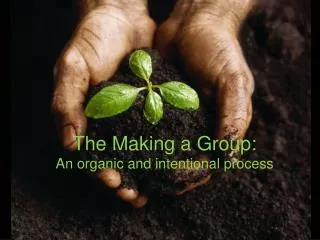 The Making a Group: An organic and intentional process