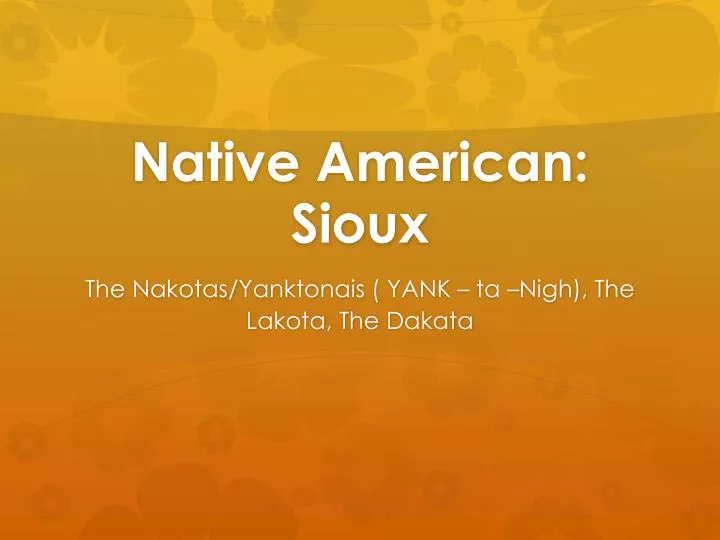 native american sioux