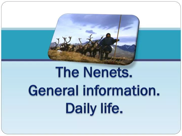 the nenets general information daily life