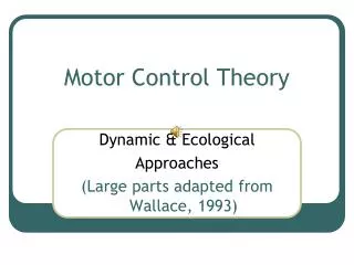 Motor Control Theory